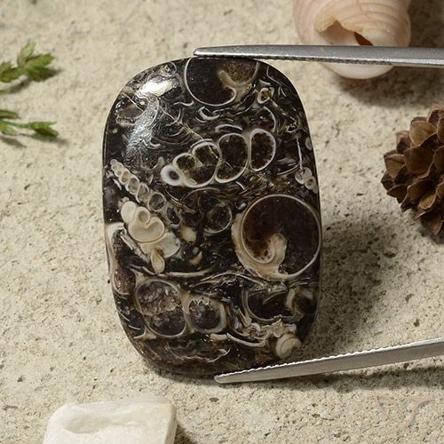 35.69ct طبيعي متعدد الألوان يشب أو جاسبر, وسادة, غير شفاف