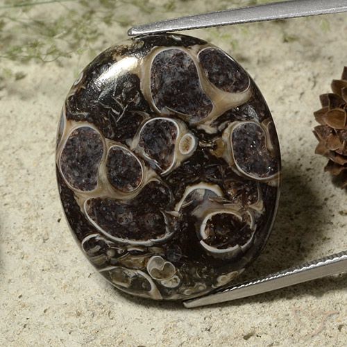 28.37ct طبيعي متعدد الألوان يشب أو جاسبر, بيضوي, غير شفاف