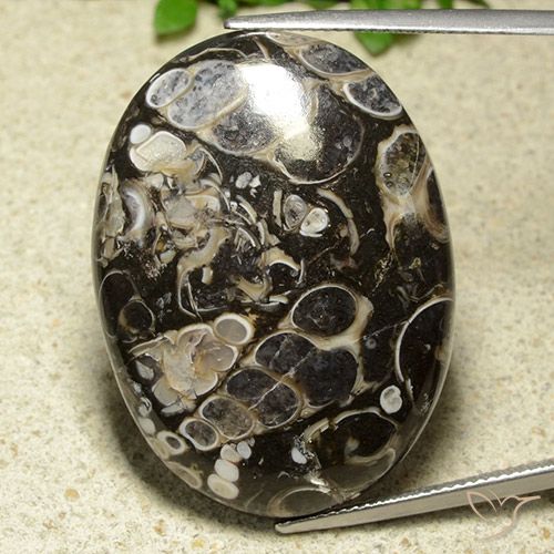 43.81ct طبيعي متعدد الألوان يشب أو جاسبر, بيضوي, غير شفاف