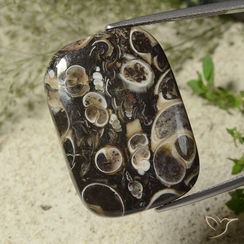 34.23ct طبيعي متعدد الألوان يشب أو جاسبر, وسادة, غير شفاف
