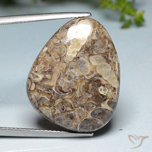 20.52ct طبيعي متعدد الألوان يشب أو جاسبر, فانسى, غير شفاف
