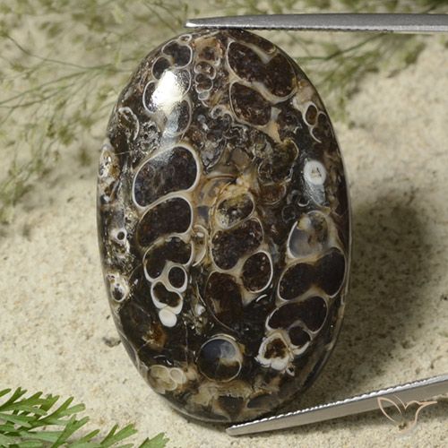 44.95ct طبيعي متعدد الألوان يشب أو جاسبر, بيضوي, غير شفاف