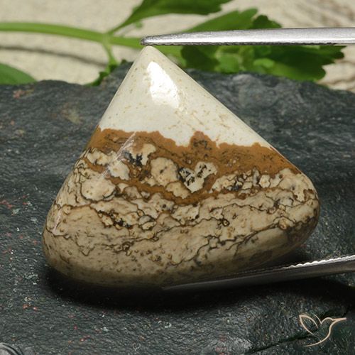 33.81ct طبيعي متعدد الألوان يشب أو جاسبر, شكل الكمثرى, غير شفاف