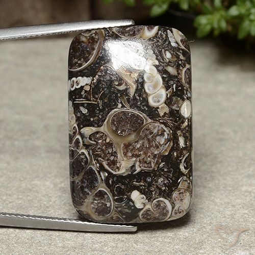 32.91ct طبيعي متعدد الألوان يشب أو جاسبر, وسادة, غير شفاف