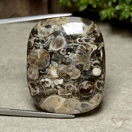 38.76ct طبيعي متعدد الألوان يشب أو جاسبر, وسادة, غير شفاف