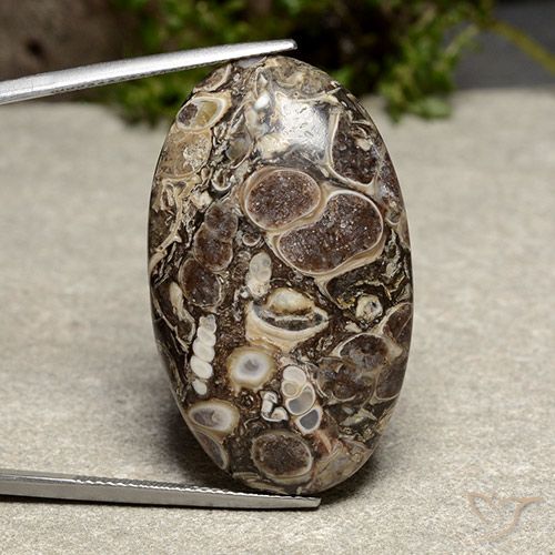 39.13ct طبيعي متعدد الألوان يشب أو جاسبر, بيضوي, غير شفاف