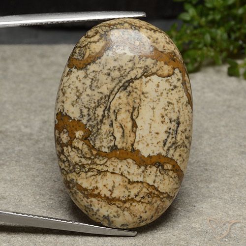40.46ct طبيعي متعدد الألوان يشب أو جاسبر, بيضوي, غير شفاف, Photo A