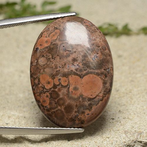 19.34ct طبيعي متعدد الألوان يشب أو جاسبر, بيضوي, غير شفاف