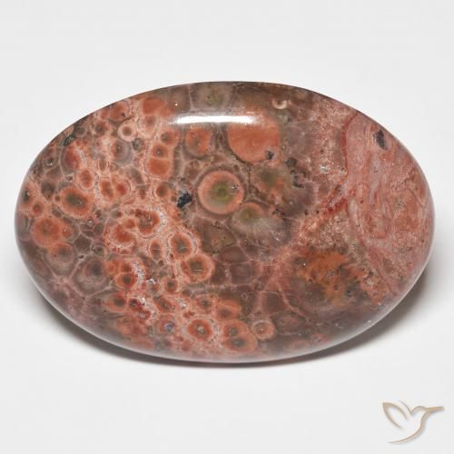 25.58ct طبيعي متعدد الألوان يشب أو جاسبر, بيضوي, غير شفاف