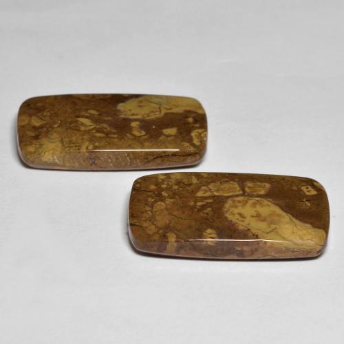 أحجار يشب أو جاسبر متعدد الألوان طبيعية، قطع وسادة، غير شفاف، وزنها 26.16 قيراط