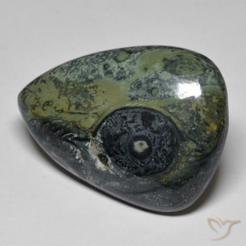 32.43ct طبيعي متعدد الألوان يشب أو جاسبر, شكل الكمثرى, غير شفاف