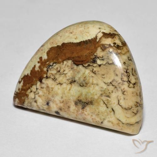 18.92ct طبيعي متعدد الألوان يشب أو جاسبر, فانسى, غير شفاف