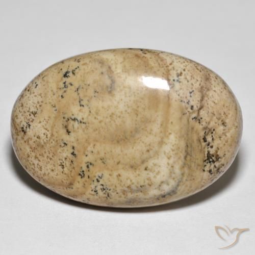 31.50ct طبيعي متعدد الألوان يشب أو جاسبر, بيضوي, غير شفاف