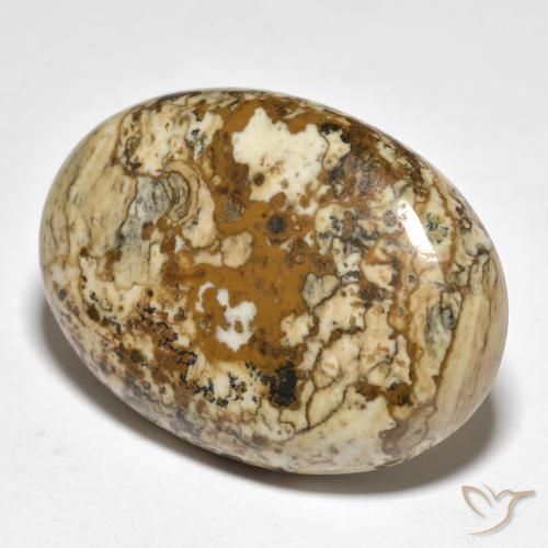 19.98ct طبيعي متعدد الألوان يشب أو جاسبر, بيضوي, غير شفاف