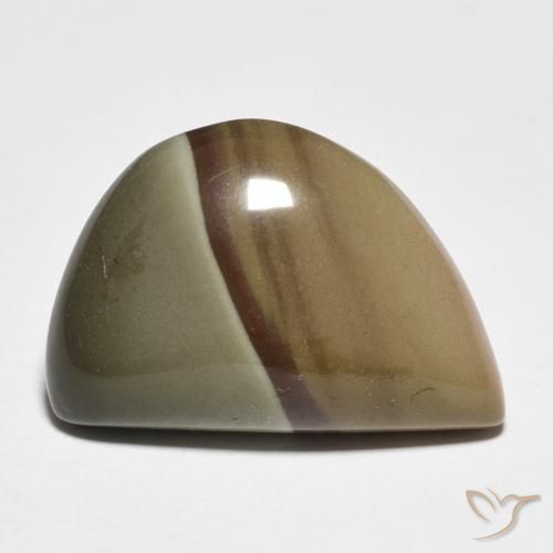 11.50ct طبيعي متعدد الألوان يشب أو جاسبر, فانسى, غير شفاف