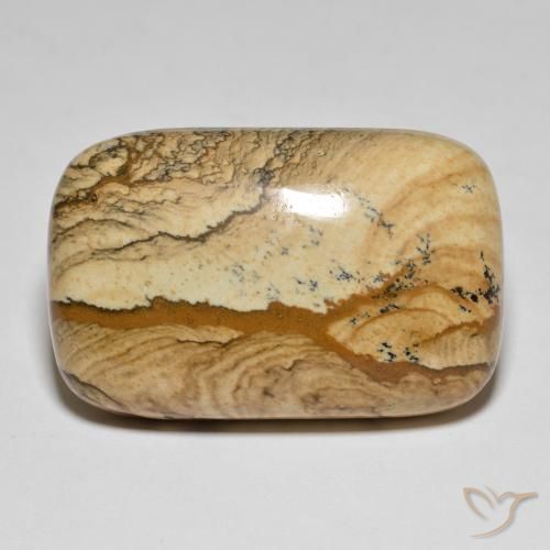62.57ct طبيعي متعدد الألوان يشب أو جاسبر, وسادة, غير شفاف