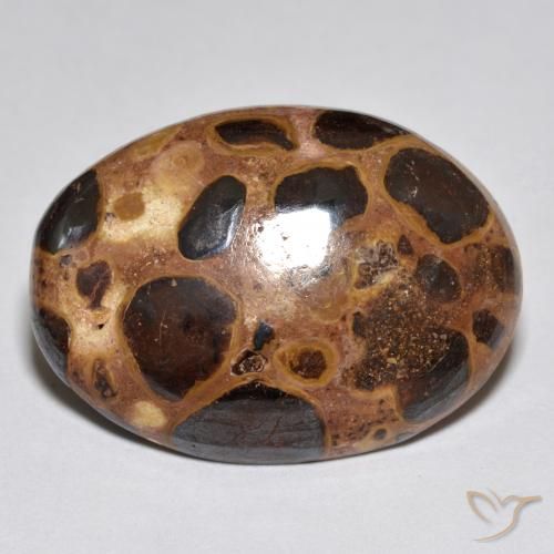 15.52ct طبيعي متعدد الألوان يشب أو جاسبر, بيضوي, غير شفاف