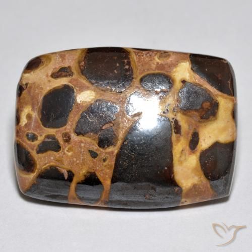 21.42ct طبيعي متعدد الألوان يشب أو جاسبر, وسادة, غير شفاف
