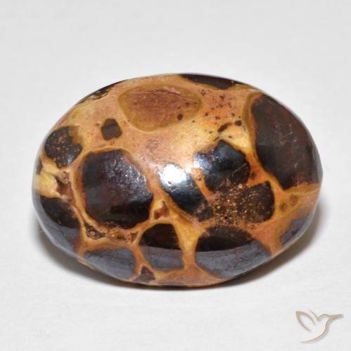 14.82ct طبيعي متعدد الألوان يشب أو جاسبر, بيضوي, غير شفاف