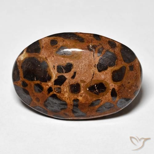 21.84ct طبيعي متعدد الألوان يشب أو جاسبر, بيضوي, غير شفاف