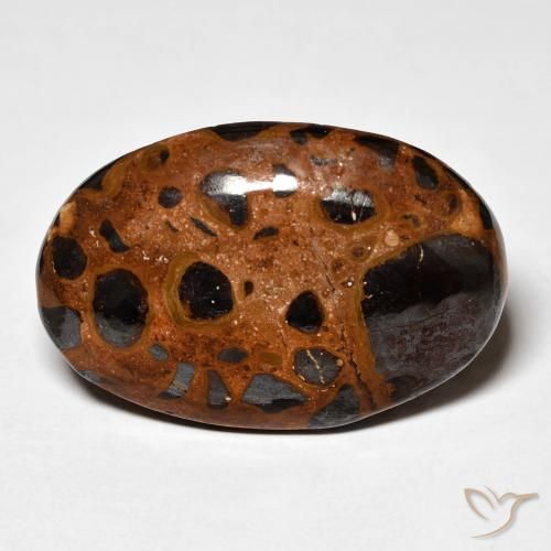 21.98ct طبيعي متعدد الألوان يشب أو جاسبر, بيضوي, غير شفاف
