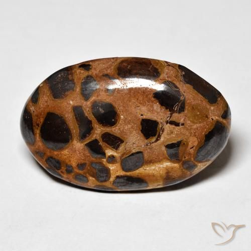 20.50ct طبيعي متعدد الألوان يشب أو جاسبر, بيضوي, غير شفاف