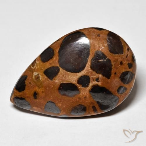 24.78ct طبيعي متعدد الألوان يشب أو جاسبر, شكل الكمثرى, غير شفاف