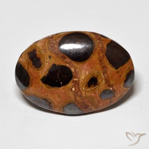 16.68ct طبيعي متعدد الألوان يشب أو جاسبر, بيضوي, غير شفاف