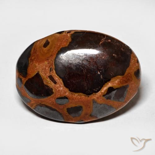 13.64ct طبيعي متعدد الألوان يشب أو جاسبر, بيضوي, غير شفاف