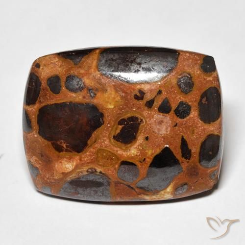 19.46ct طبيعي متعدد الألوان يشب أو جاسبر, وسادة, غير شفاف