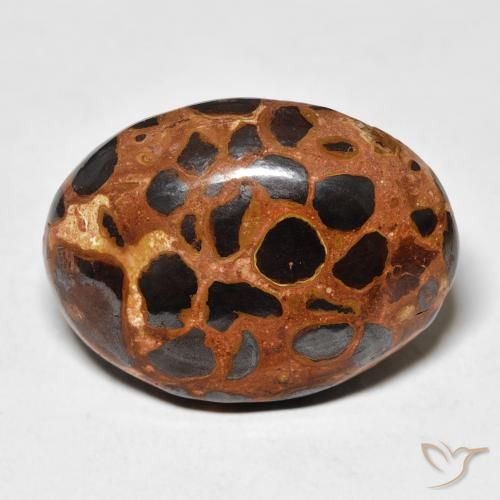 25.43ct طبيعي متعدد الألوان يشب أو جاسبر, بيضوي, غير شفاف