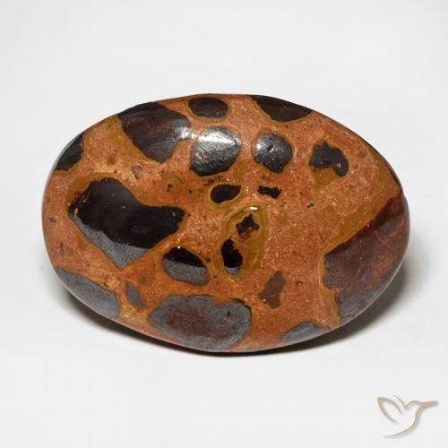 17.08ct طبيعي متعدد الألوان يشب أو جاسبر, بيضوي, غير شفاف