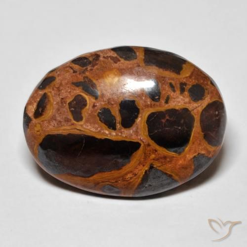 17.26ct طبيعي متعدد الألوان يشب أو جاسبر, بيضوي, غير شفاف