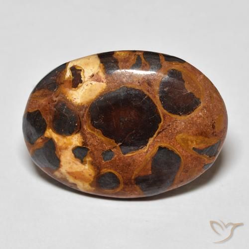 14.20ct طبيعي متعدد الألوان يشب أو جاسبر, بيضوي, غير شفاف