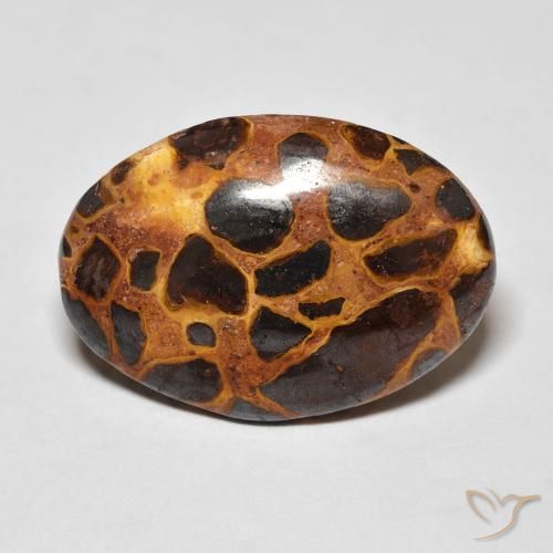 13.57ct طبيعي متعدد الألوان يشب أو جاسبر, بيضوي, غير شفاف