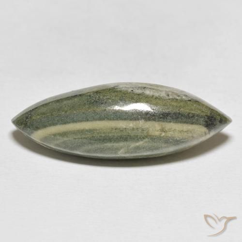 21.59ct طبيعي متعدد الألوان يشب أو جاسبر, ماركيز, غير شفاف