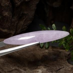 كونزيت وردى طبيعي، ماركيز، 17.91 قيراط، نصف شفاف