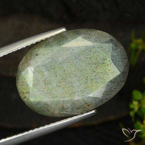 14.58ct طبيعي متعدد الألوان لابرادوريت, بيضوي, نصف شفاف