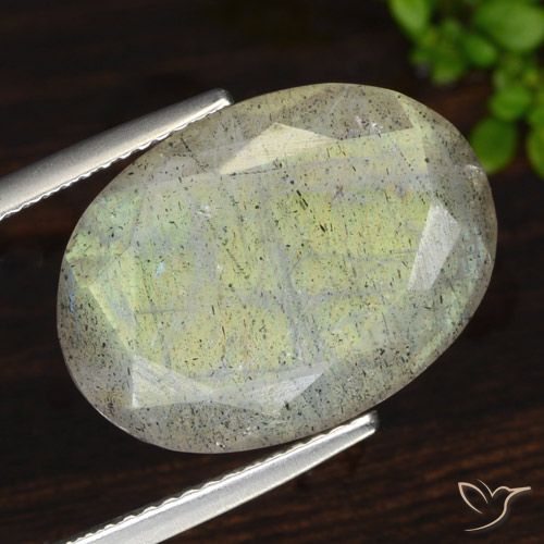 11.50ct طبيعي متعدد الألوان لابرادوريت, بيضوي, نصف شفاف