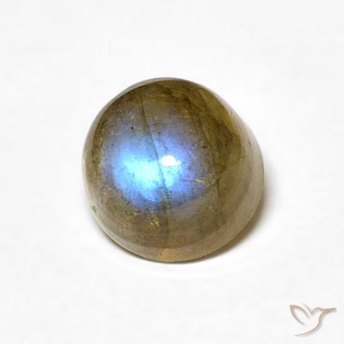 1.33ct طبيعي متعدد الألوان لابرادوريت, دائري, نصف شفاف