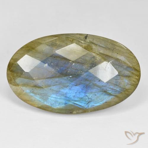 41.48ct طبيعي متعدد الألوان لابرادوريت, بيضوي, غير شفاف