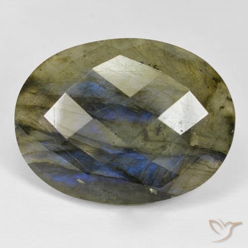 31.10ct طبيعي متعدد الألوان لابرادوريت, بيضوي, غير شفاف