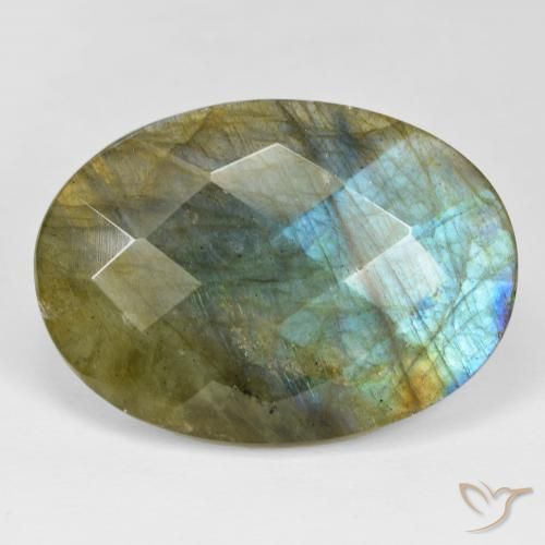 36.40ct طبيعي متعدد الألوان لابرادوريت, بيضوي, غير شفاف