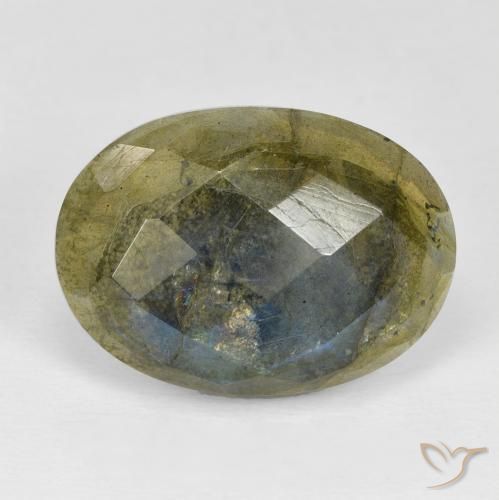 16.89ct طبيعي متعدد الألوان لابرادوريت, بيضوي, غير شفاف