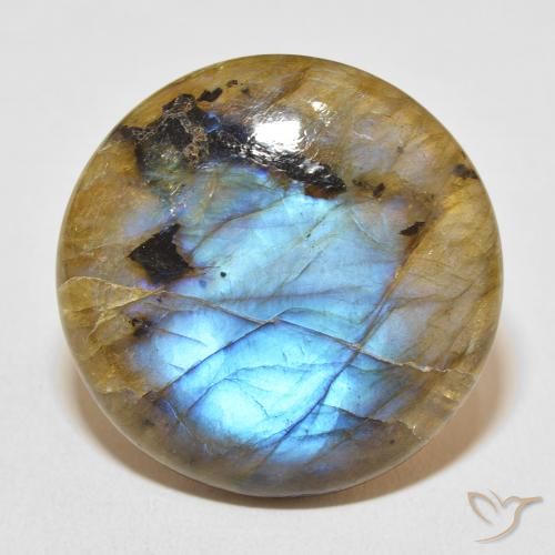 31.45ct طبيعي متعدد الألوان لابرادوريت, دائري, نصف شفاف