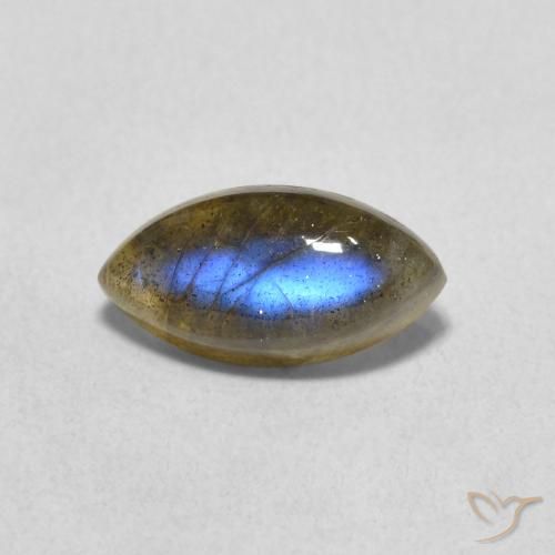 1.43ct طبيعي متعدد الألوان لابرادوريت, ماركيز, نصف شفاف
