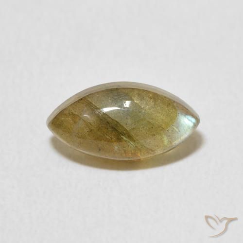 1.45ct طبيعي متعدد الألوان لابرادوريت, ماركيز, نصف شفاف