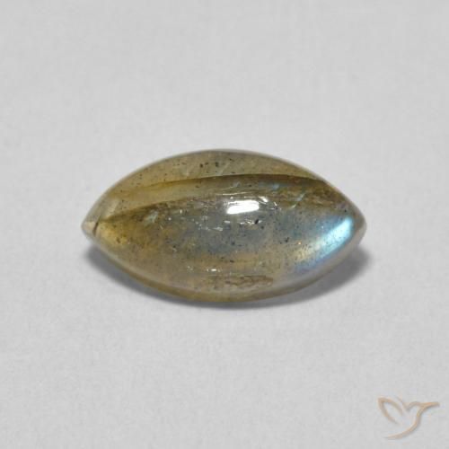 1.43ct طبيعي متعدد الألوان لابرادوريت, ماركيز, نصف شفاف