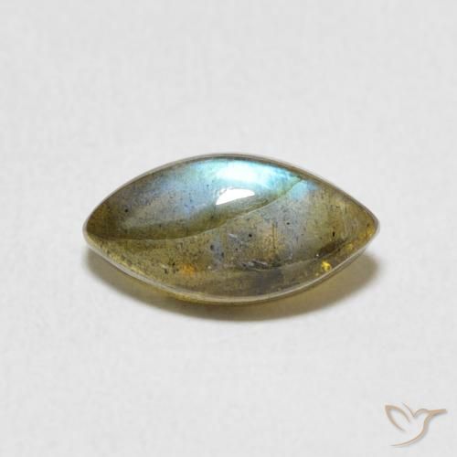 1.32ct طبيعي متعدد الألوان لابرادوريت, ماركيز, نصف شفاف
