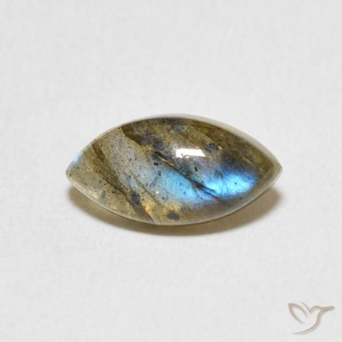 1.37ct طبيعي متعدد الألوان لابرادوريت, ماركيز, نصف شفاف